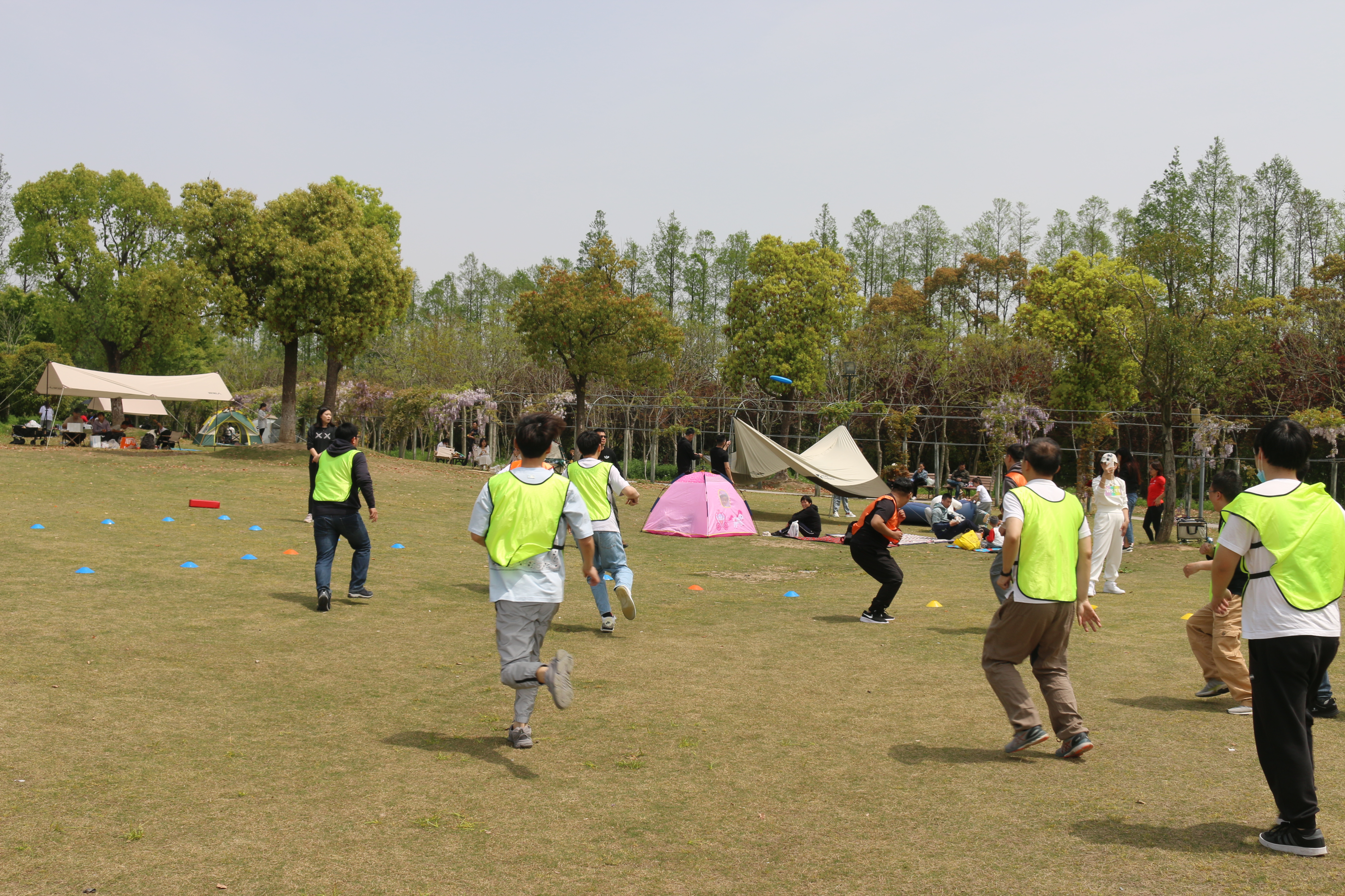 IMG_2429.jpg